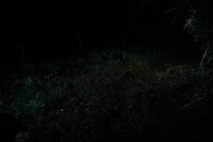 BIB: 
                            <button type="button" onclick="openModal(26102084)" class="btn btn-primary btn-sm float-right btn-popup" data-toggle="modal" data-target=".modal-high-quality">
                        <i class="fas fa-shopping-cart"></i> Add to Cart
                    </button>
                                            <button type="button" onclick="isThisMe(26102084, true)" class="btn btn-success btn-sm float-right btn-popup btn-isme hidden" data-toggle="tooltip" data-placement="bottom" title="นี่คือรูปของคุณใช่ไหม คลิกที่นี่เพื่อเอาเข้าอัลบั้ม">
                        <i class="fas fa-plus"></i> Add to album
                    </button>
                    <button type="button" onclick="isThisMe(26102084, false)" class="btn btn-warning btn-sm float-right btn-popup btn-isnotme hidden">
                        <i class="fas fa-ban"></i> Remove from album
                    </button>